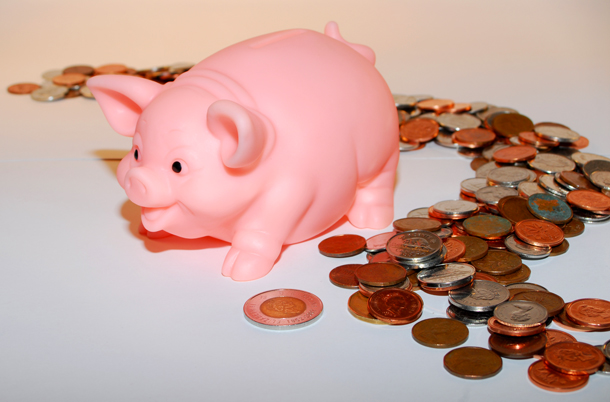 Money Savings Piggy Bank