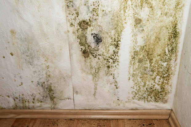 Mould from no underfloor ventilation