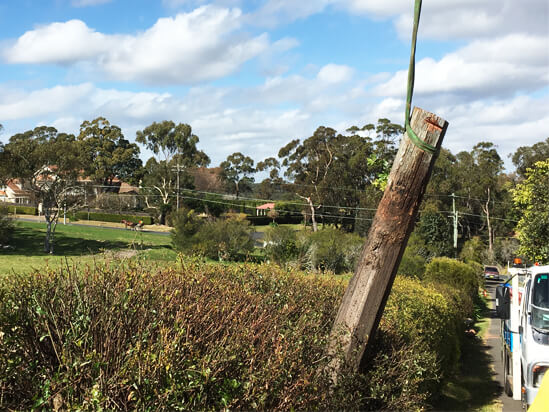 timber private pole