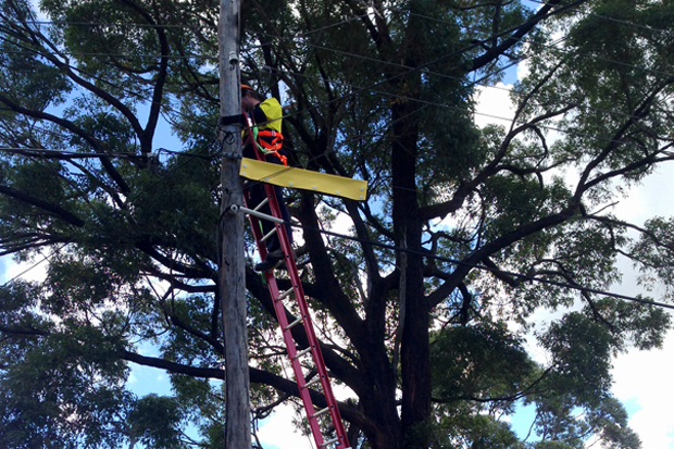 Level 2 Accredited Service Provider Working On Power Pole