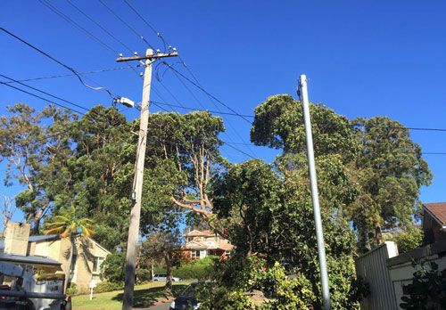 Installation of Hardwood Timber and Galvanised Steel Power Poles