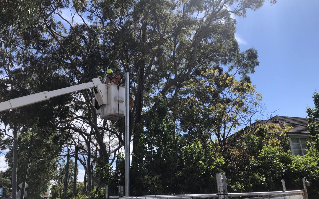 Galvanised Pole And New Switchboard – Turramurra