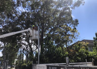 Galvanised Pole And New Switchboard – Turramurra